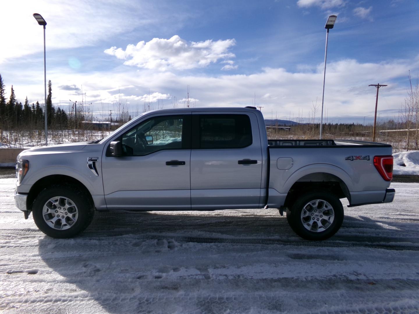 2023 Silver Ford F-150 XL SuperCrew 6.5-ft. Bed 4WD (1FTFW1E51PF) with an 5.0L V8 OHV 16V engine, 6A transmission, located at 2630 Philips Field Rd., Fairbanks, AK, 99709, (907) 458-0593, 64.848068, -147.780609 - Photo#2